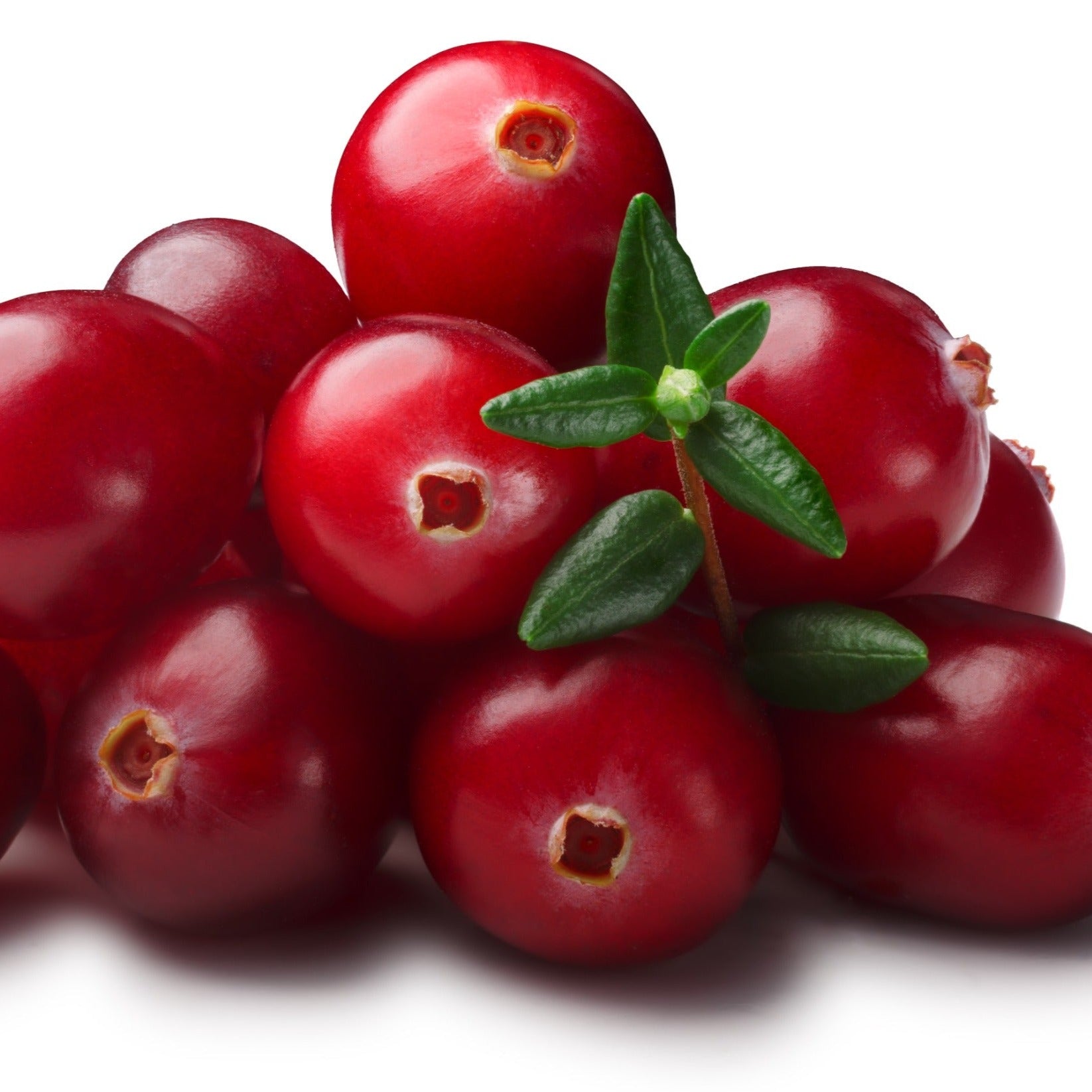 cranberry-seed-oil-virgin-bulk-naturals