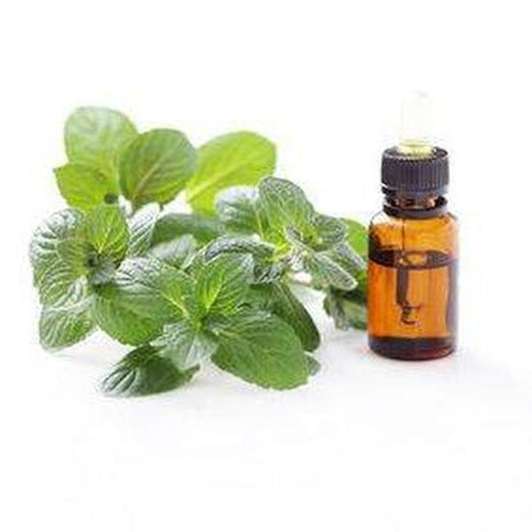 Spearmint Essential Oil