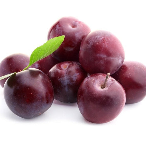 Certified Organic Plum Kernel Oil